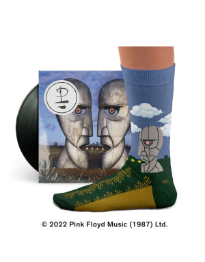 Sock Affairs : Chaussettes, d'après "Division Bell" de Pink Floyd